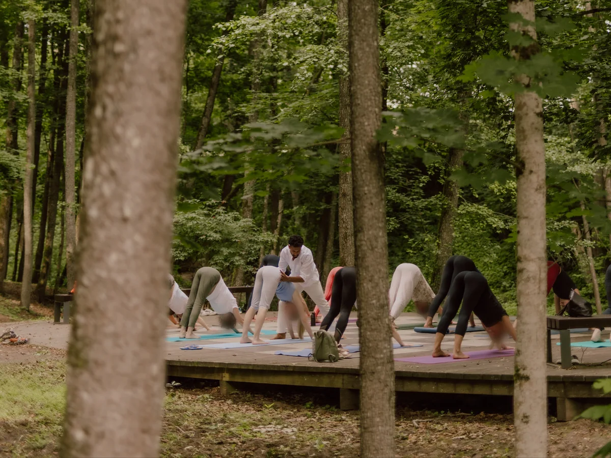 A yoga class on a forest platform